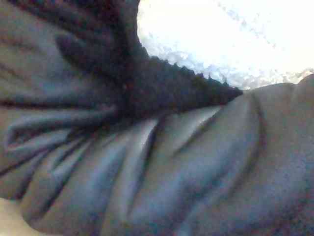 Dollie webcam