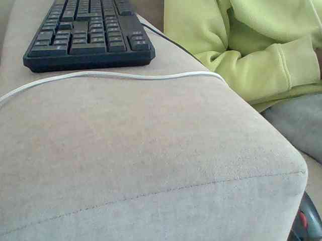 Dollie webcam