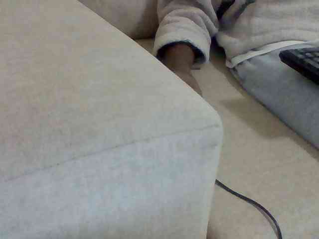 Dollie webcam