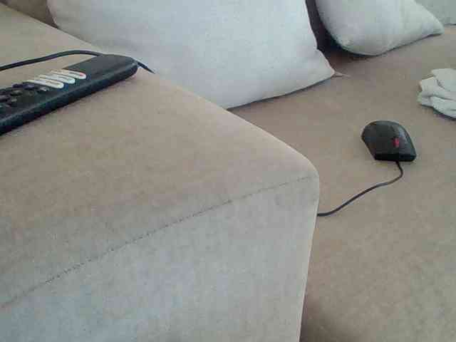 Dollie webcam