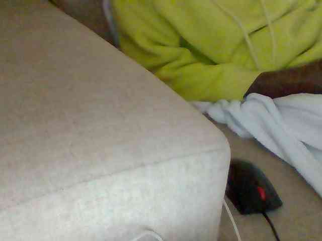 Dollie webcam