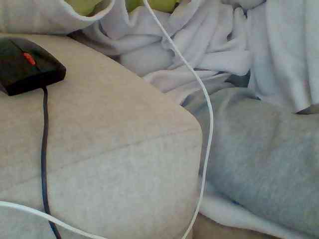 Dollie webcam