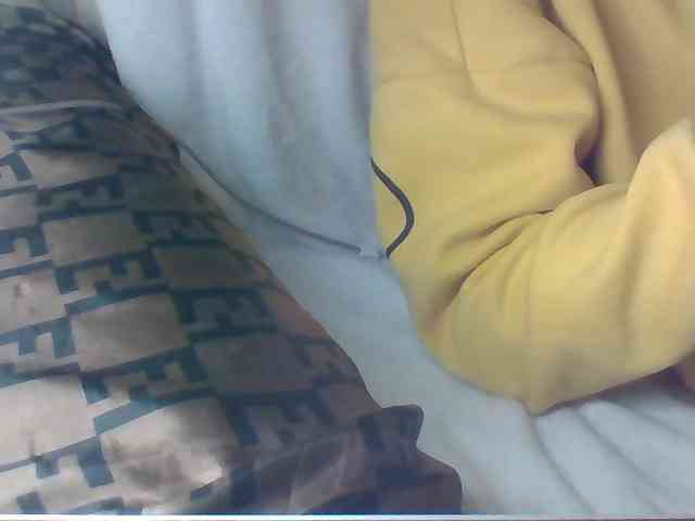 Dollie webcam