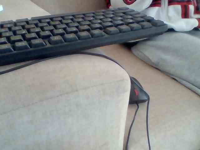 Dollie webcam