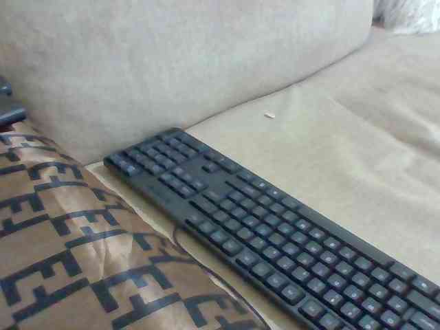 Dollie webcam