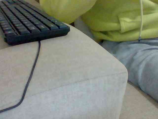 Dollie webcam