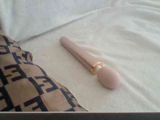 Dollie webcam