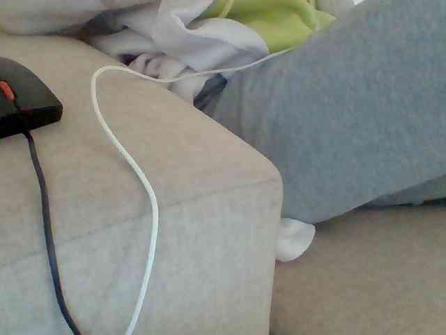Dollie webcam