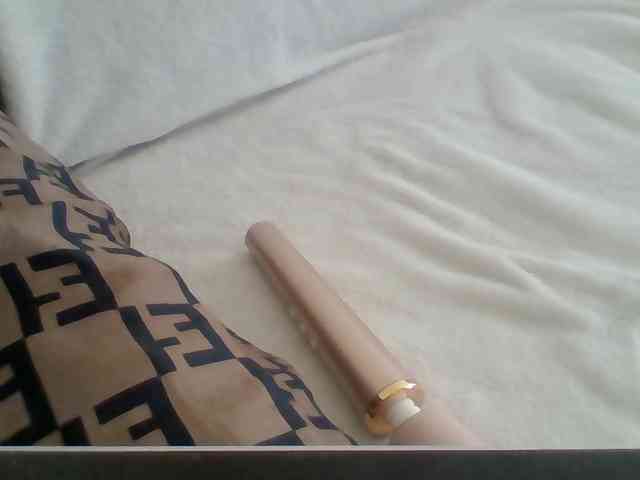 Dollie webcam
