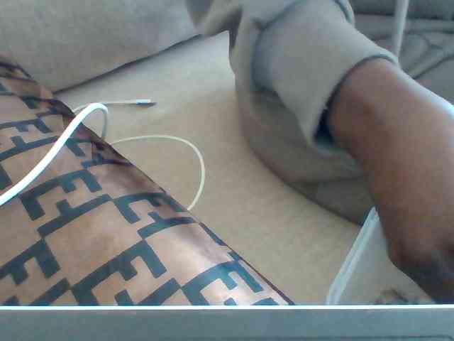Dollie webcam