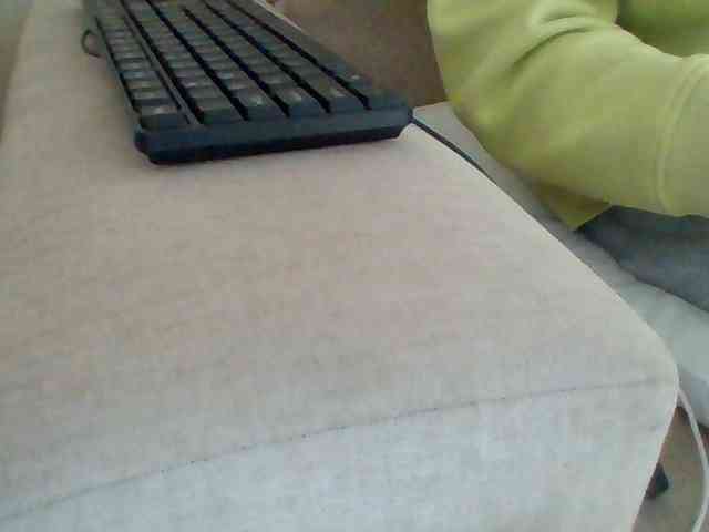 Dollie webcam