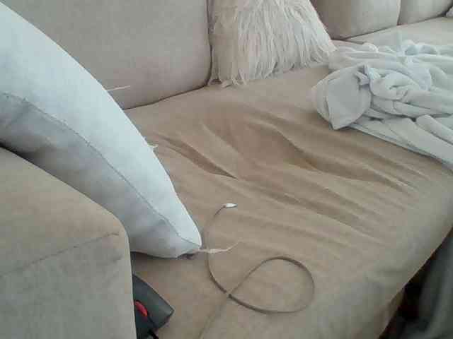 Dollie webcam