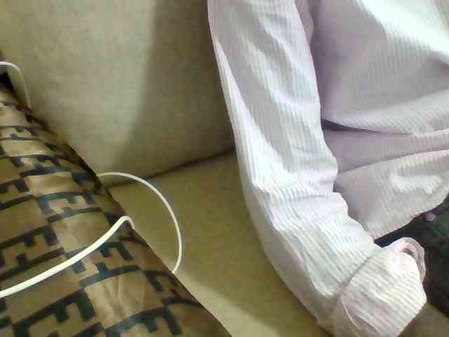 Dollie webcam