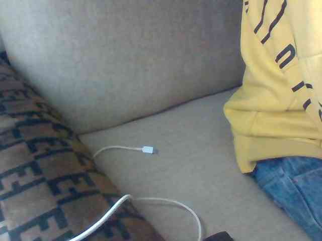 Dollie webcam