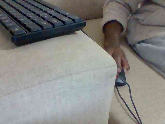 Dollie webcam