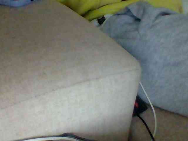 Dollie webcam