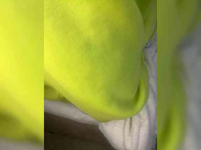 Dollie webcam