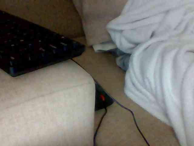 Dollie webcam