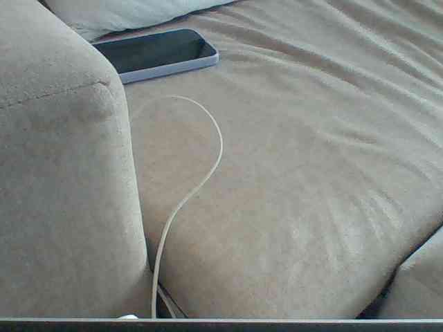 Dollie webcam