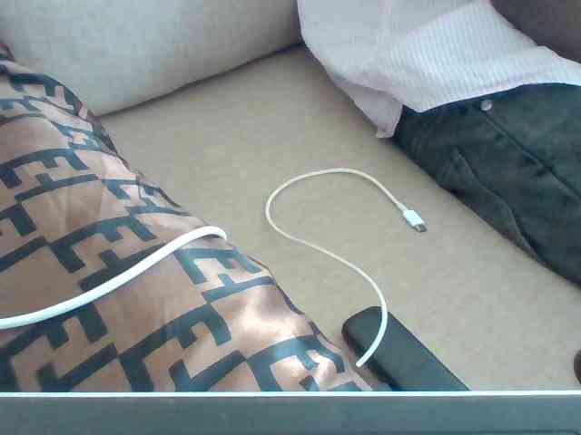 Dollie webcam