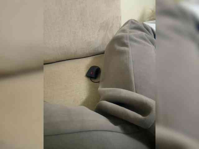 Dollie webcam
