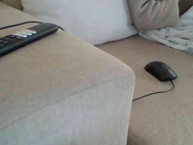 Dollie webcam