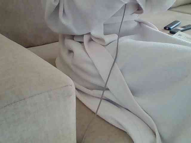 Dollie webcam