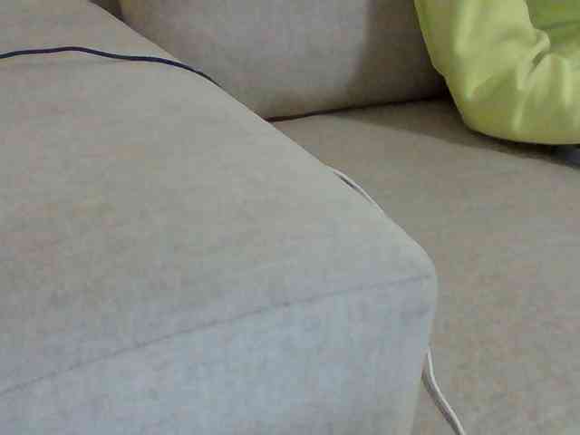 Dollie webcam