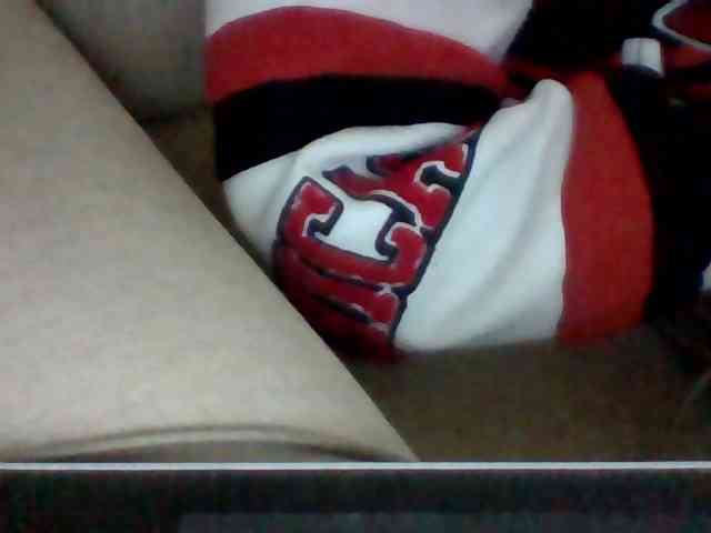 Dollie webcam