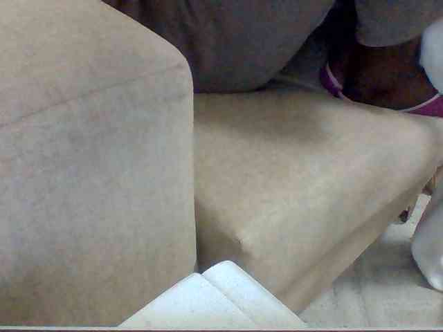 Dollie webcam