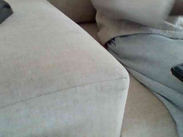 Dollie webcam