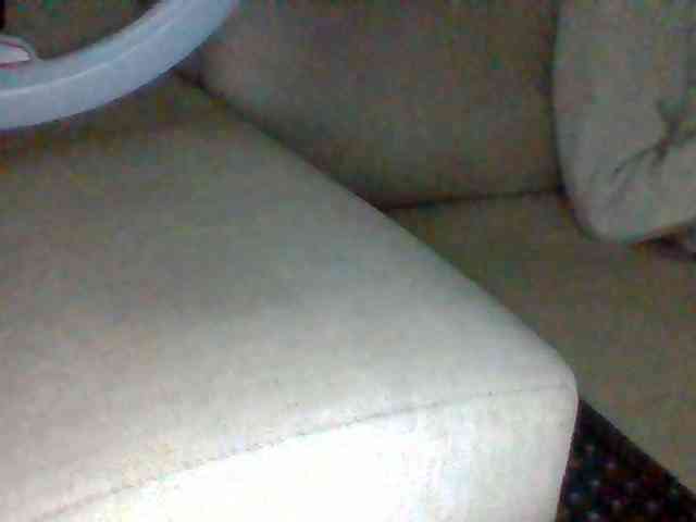 Dollie webcam