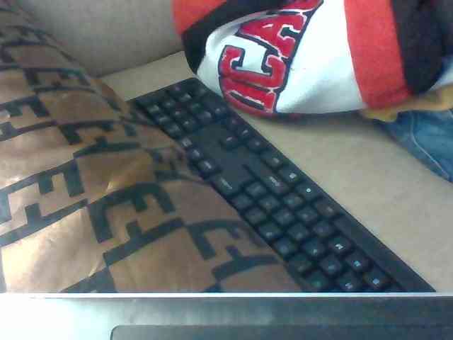 Dollie webcam