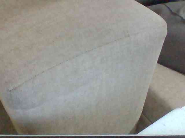 Dollie webcam