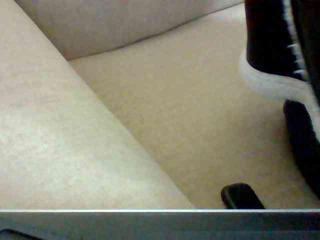 Dollie webcam