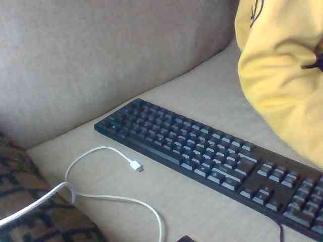 Dollie webcam