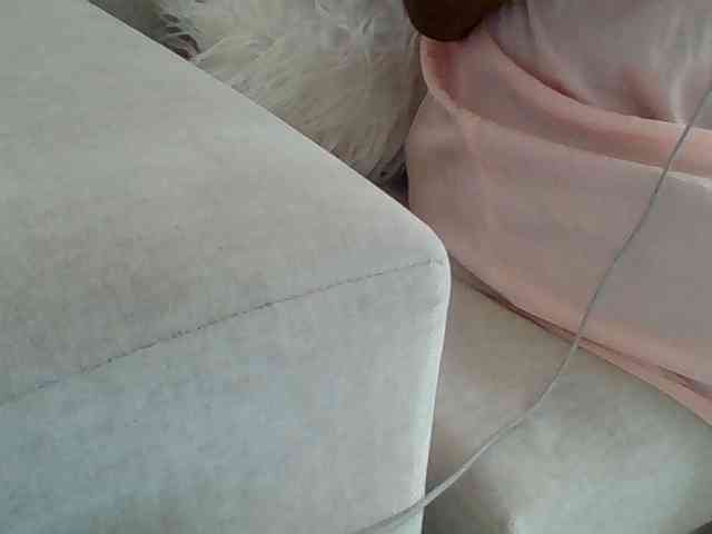 Dollie webcam