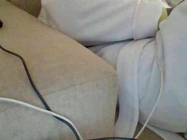 Dollie webcam