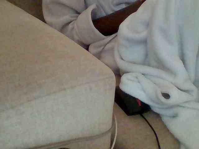 Dollie webcam