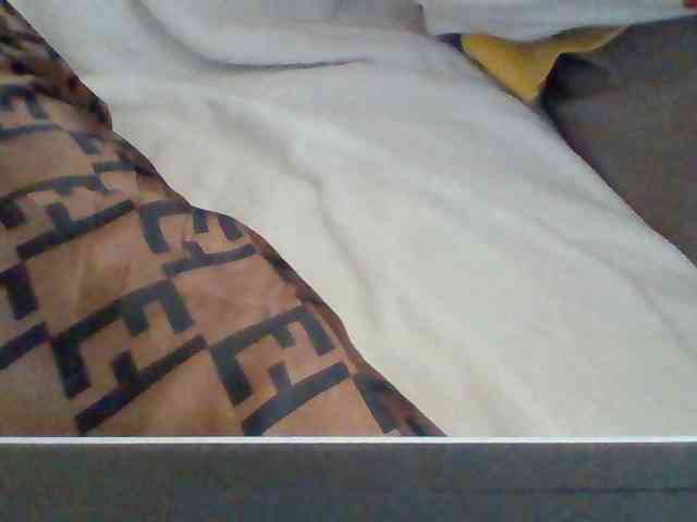 Dollie webcam