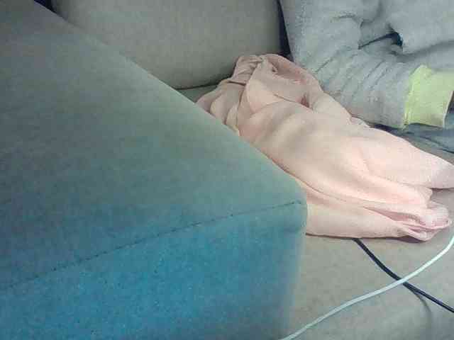 Dollie webcam