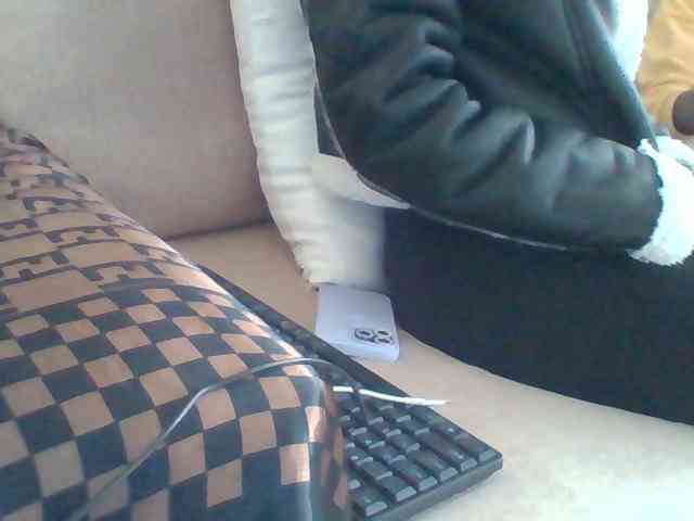 Dollie webcam