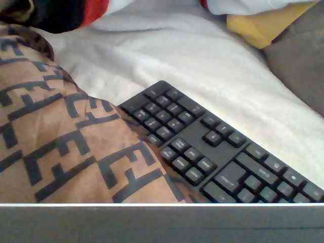 Dollie webcam