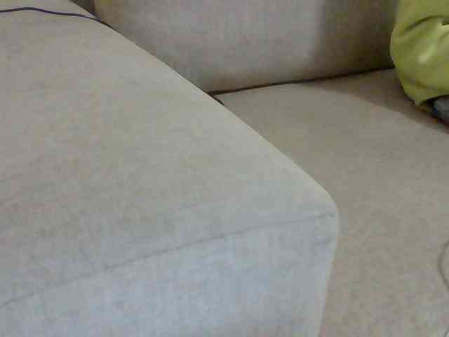 Dollie webcam