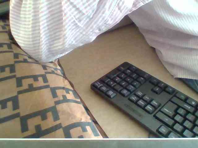 Dollie webcam