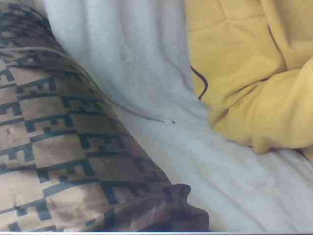 Dollie webcam