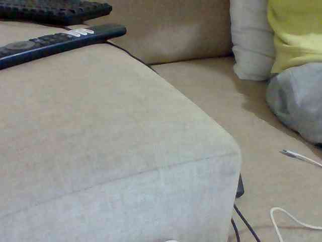 Dollie webcam