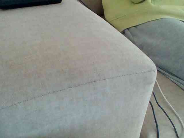 Dollie webcam