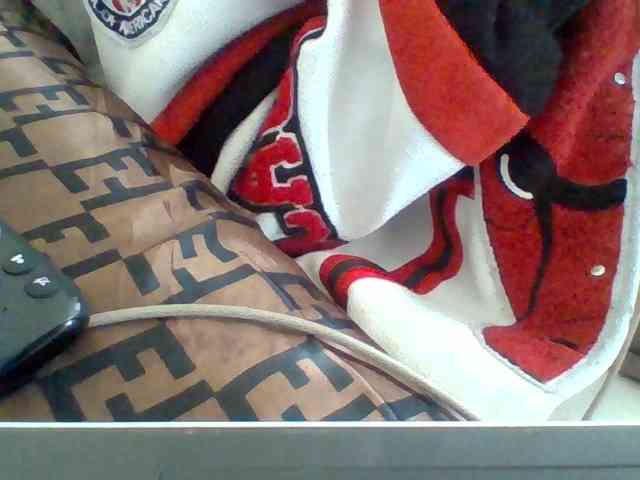 Dollie webcam
