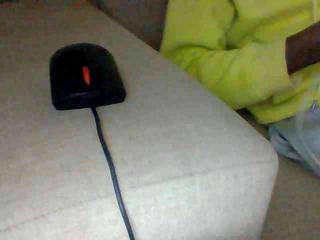 Dollie webcam